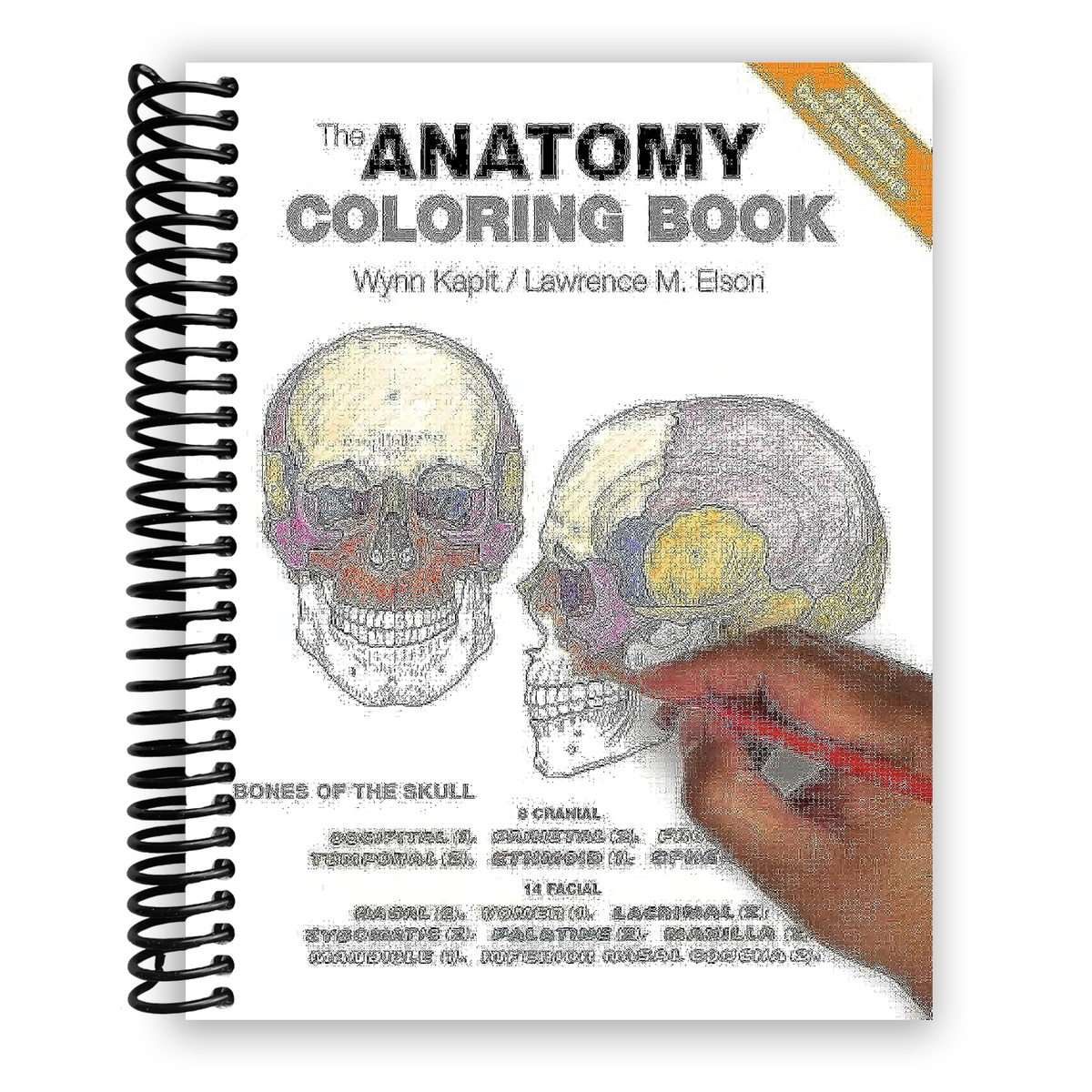 The Anatomy Coloring Book(Spiral Bound)
