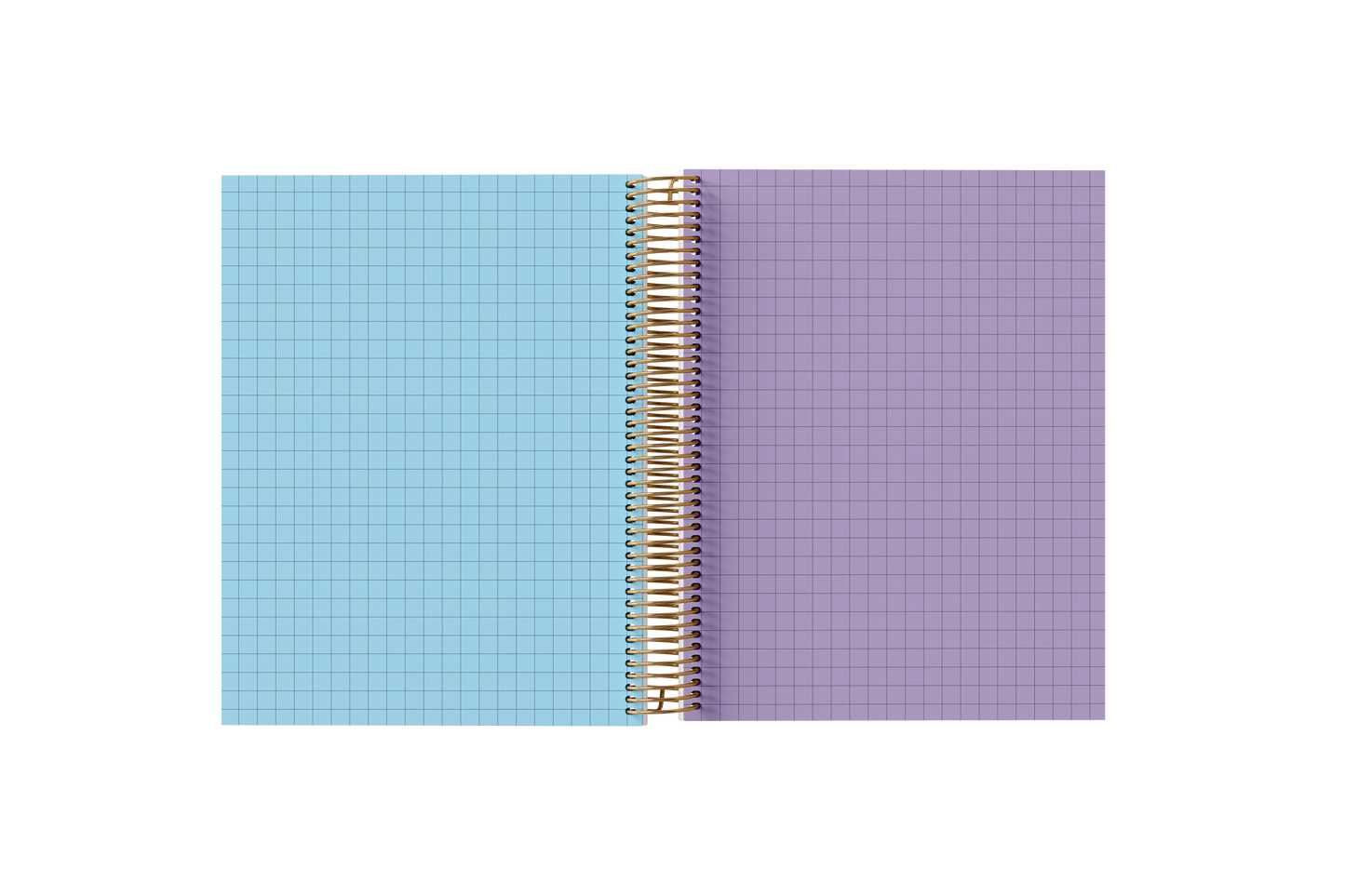 Graph Paper Holographic Notebook by BERTEAU & Co.