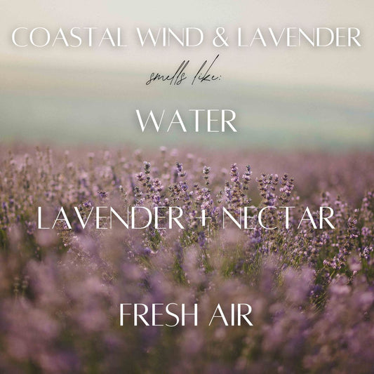 Coastal Wind & Lavender Roll-On Perfume Oil - Limited Edition