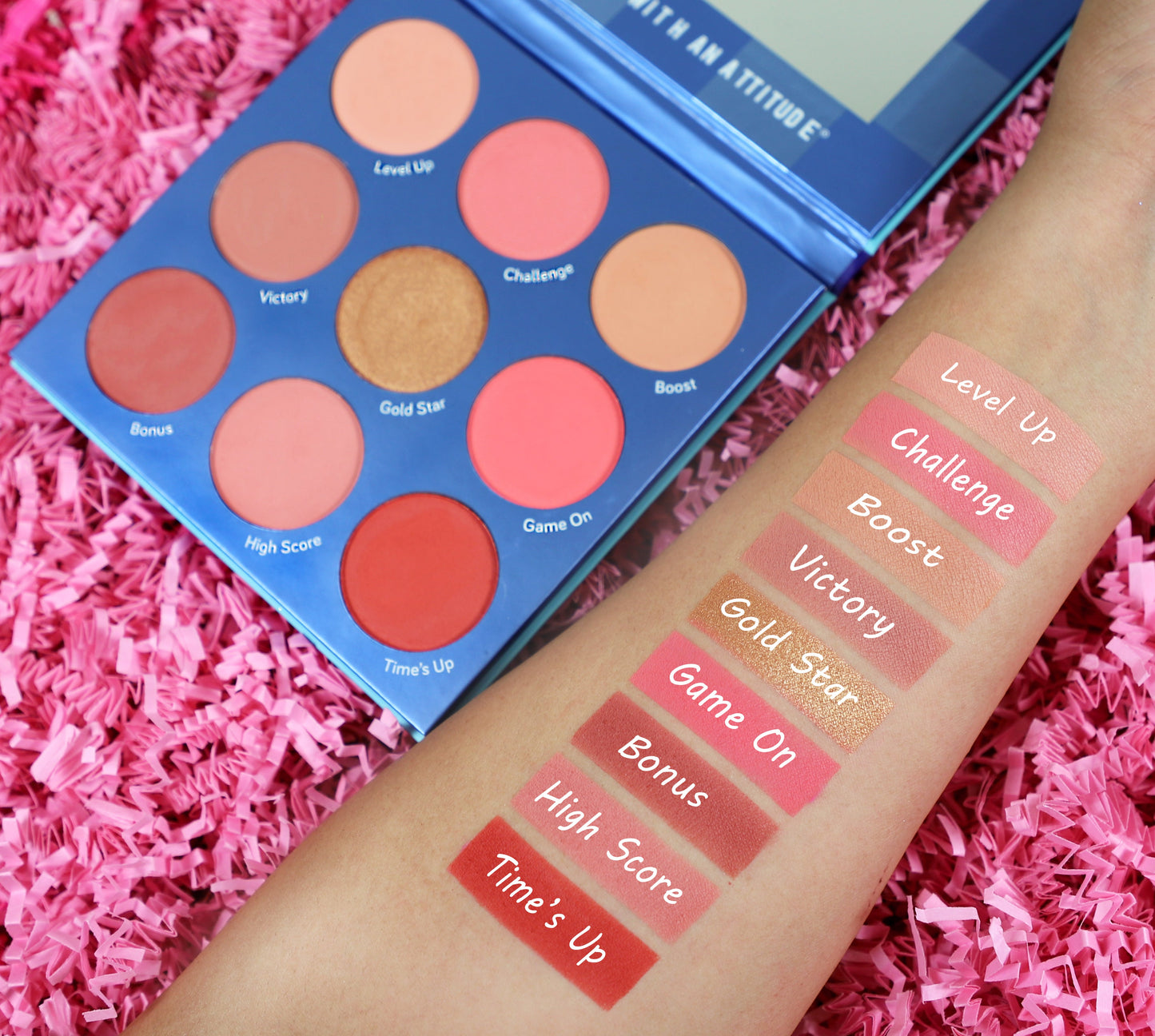 Blush Crush 9 Color Blush Palette - Level Up