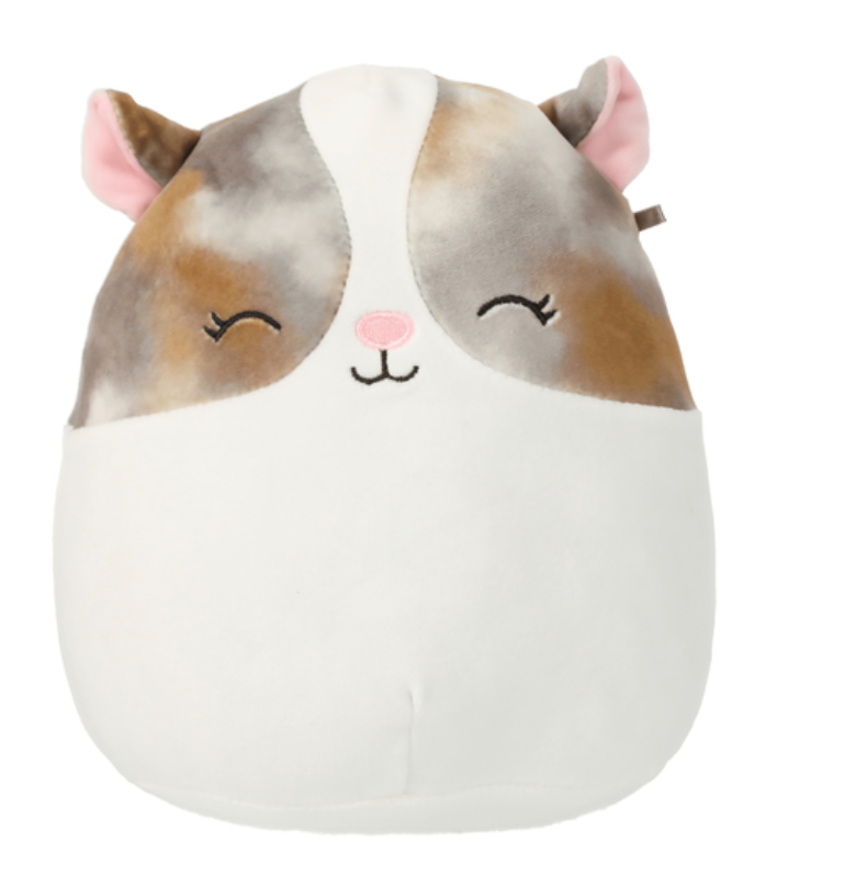 Squishmallows Pax the Multi-Colored Hamster Blinking Eyes 7.5" Stuffed Plush