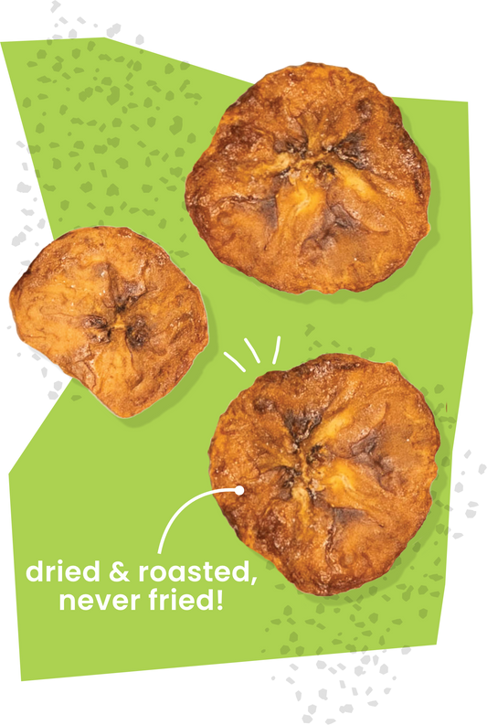 Salted Olive Oil Plantain Chips - 6 Pack