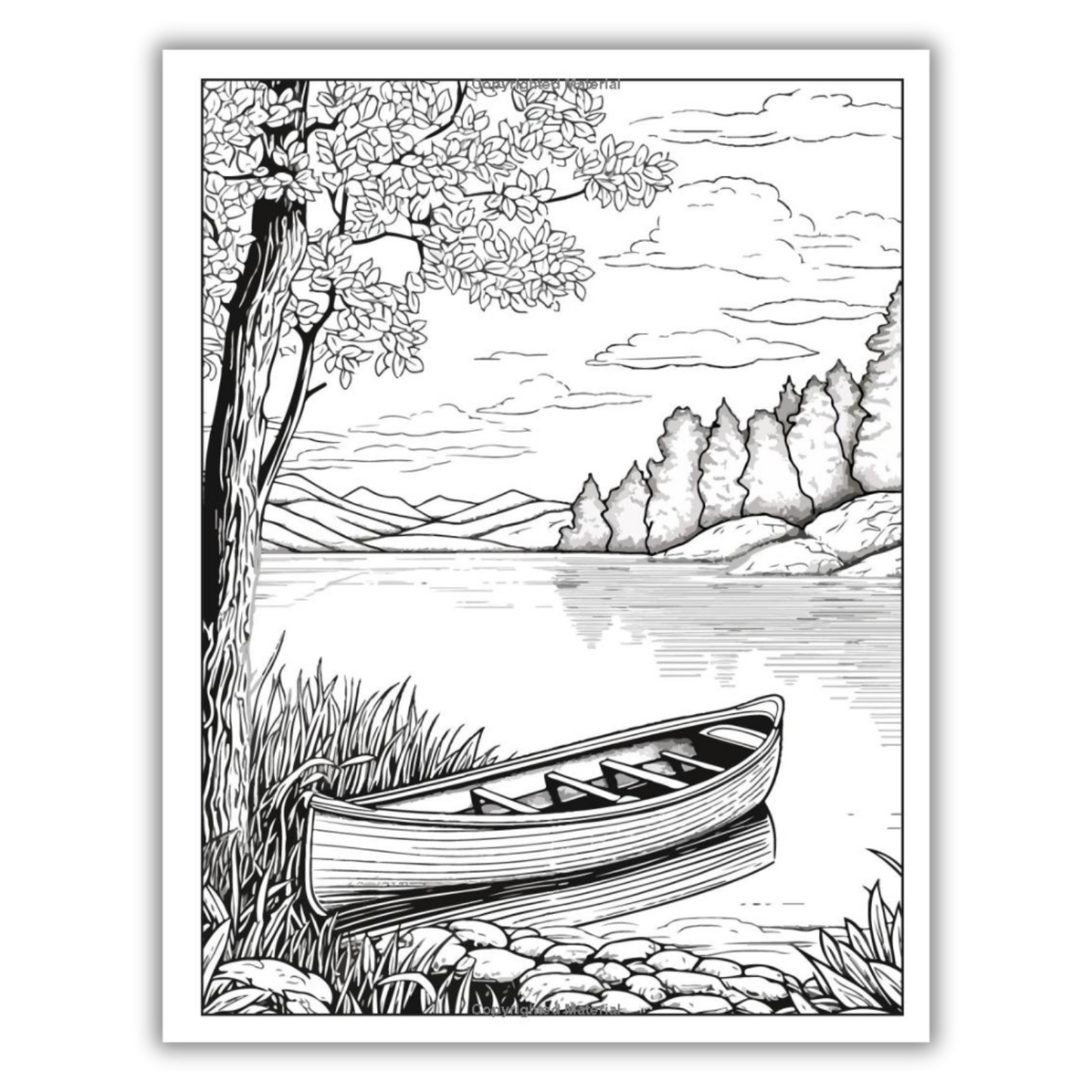 101 CALMNESS: Adult Coloring Book (Spiral Bound)