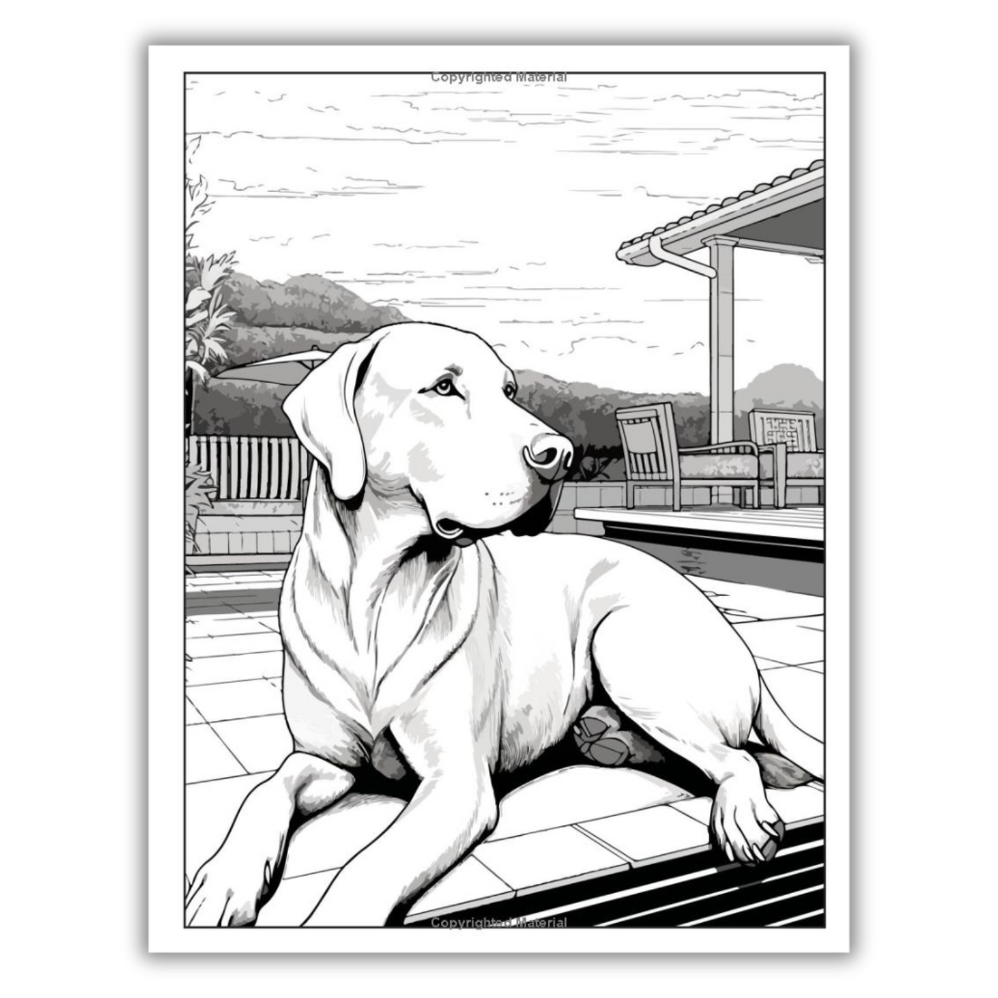 101 CALMNESS: Adult Coloring Book (Spiral Bound)