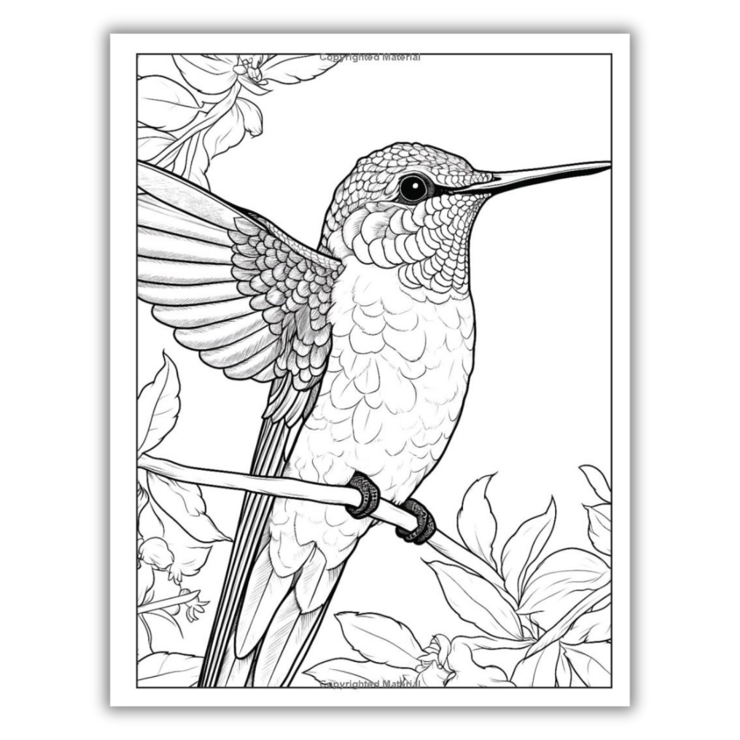 101 CALMNESS: Adult Coloring Book (Spiral Bound)