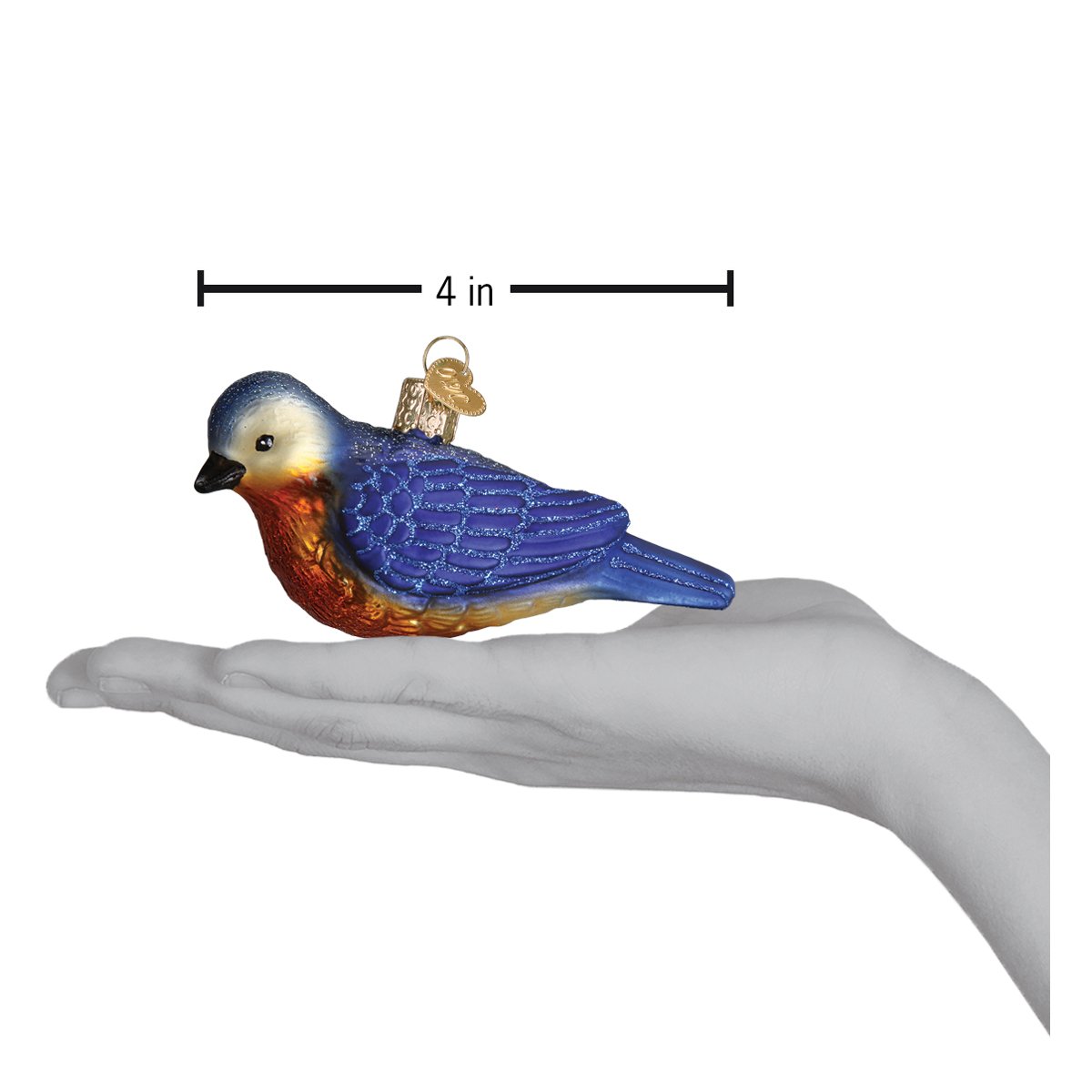 Hanging Western Bluebird