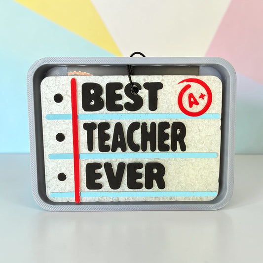 Best Teacher Ever Freshie