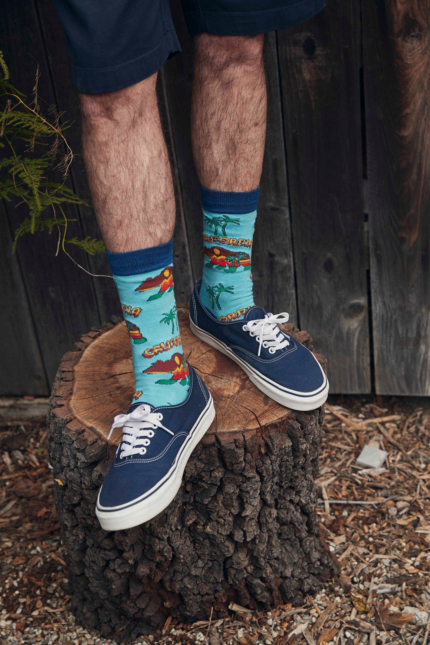 Men's  Cali Bear Socks
