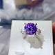 Heliotrope Purple