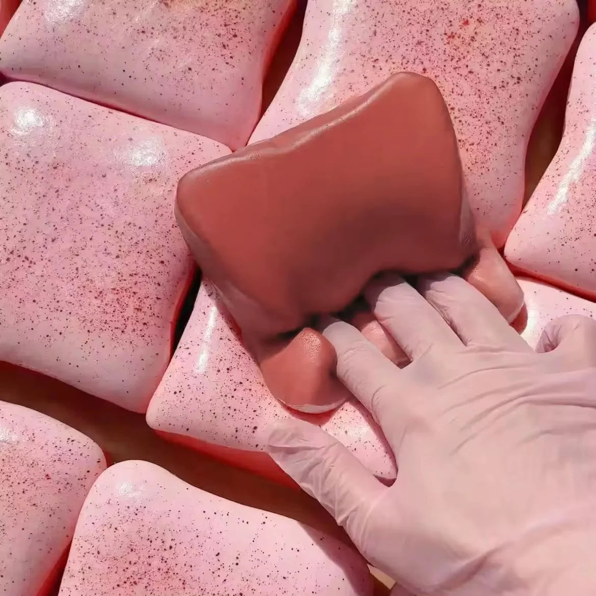 Viral STICKY TOAST Squishy (IN STOCK)