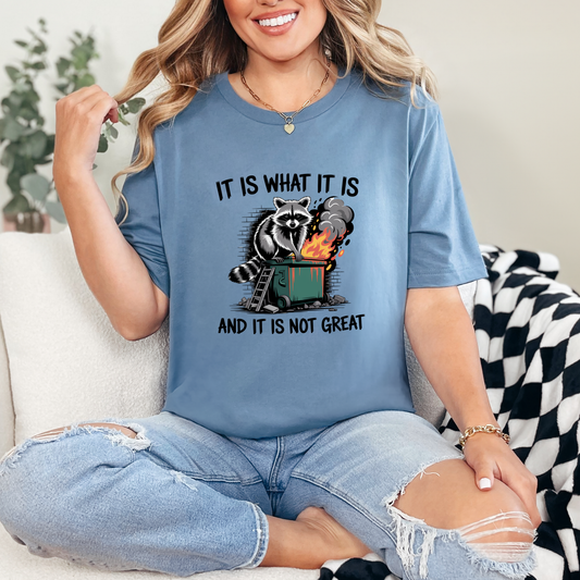 It Is What It Is Raccoon Graphic Tee