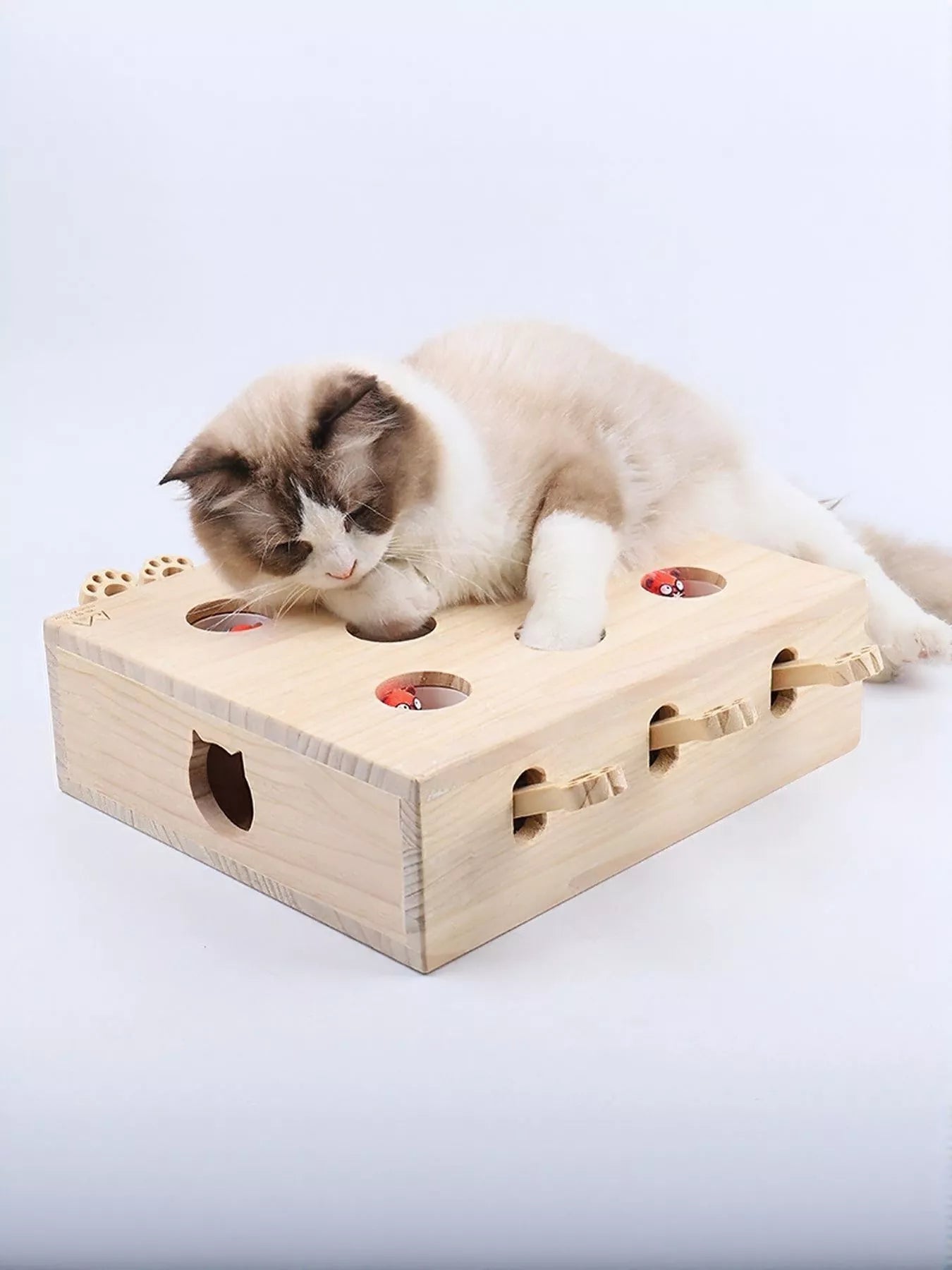 3bf34a54-8b85-4307-89ce-6a707614292f-Max-Origin