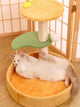 Orange Climbing Frame
