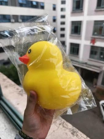 Viral Jumbo Duck Squishy (PREORDER CLOSES 6/29, ETA LATE JULY)