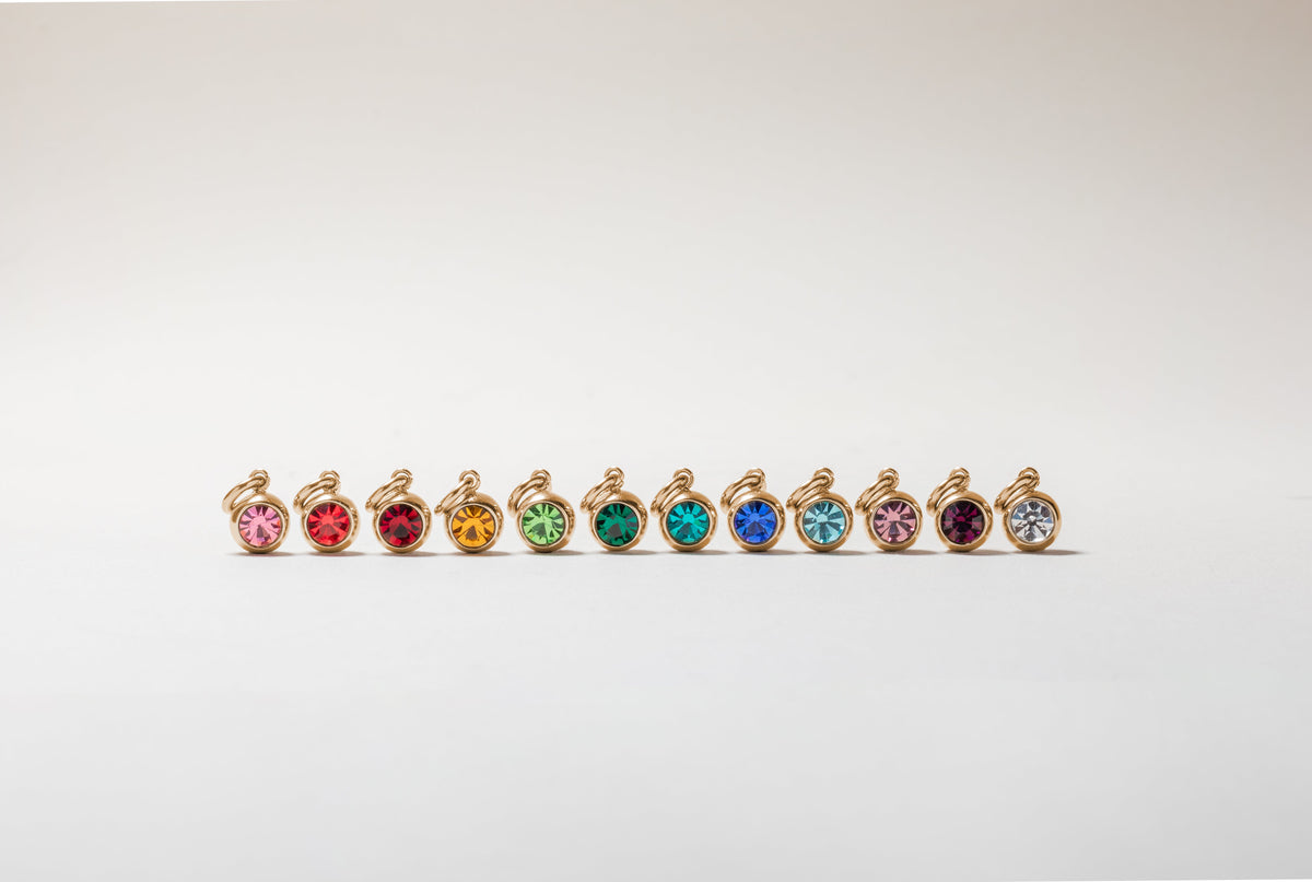 January Birthstone Interchangeable Charm