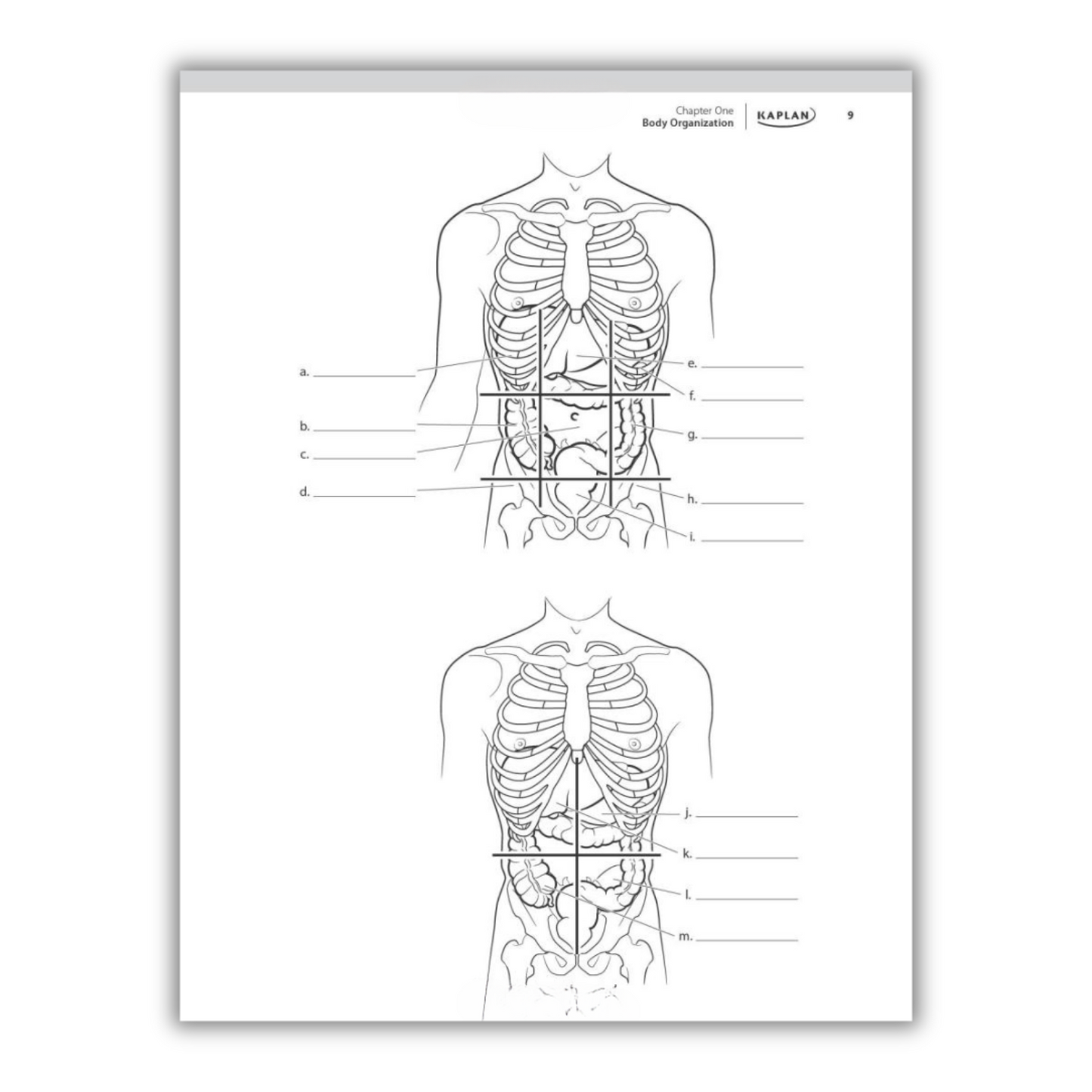 Anatomy Coloring Book: 10th Edition (Spiral Bound)