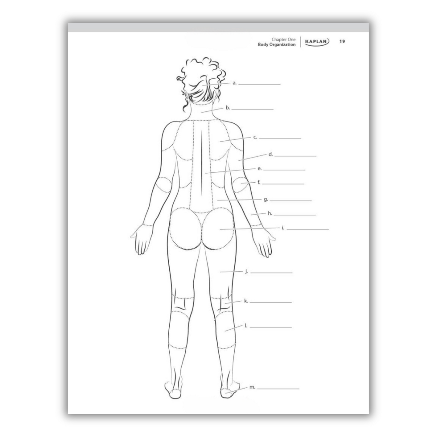 Anatomy Coloring Book: 10th Edition (Spiral Bound)