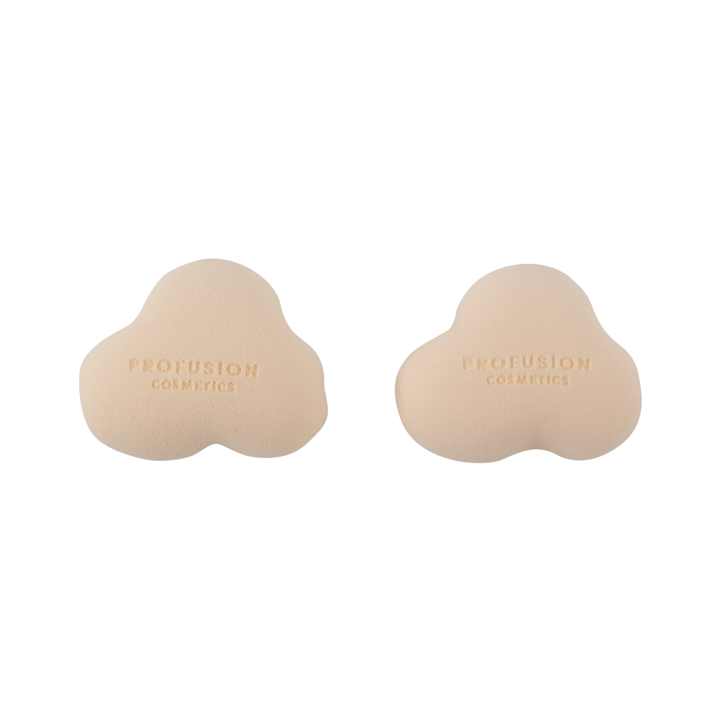 Harry Potter Holiday | Hogwarts™ Express Sponge Set