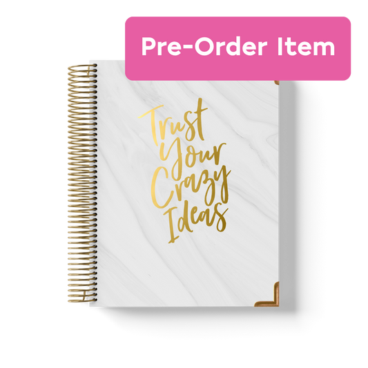 (Pre-Order) Crazy Ideas Teacher Planner by BERTEAU & Co.