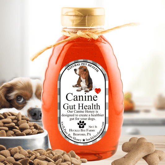 🐾 K9 Honey – Allergy Relief Formula