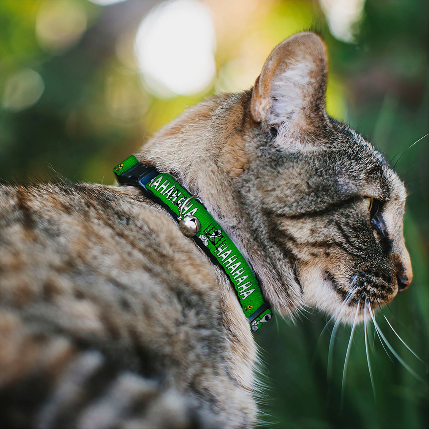 Breakaway Cat Collar with Bell - Peanuts Snoopy and Woodstock Laughing HAHA Pose Green
