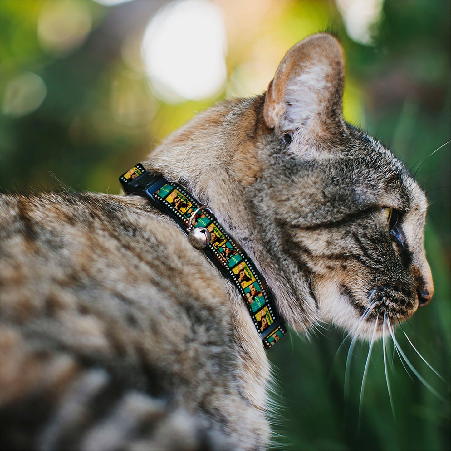 Breakaway Cat Collar with Bell - Gremlins GIZMO Film Strip Pose Blocks