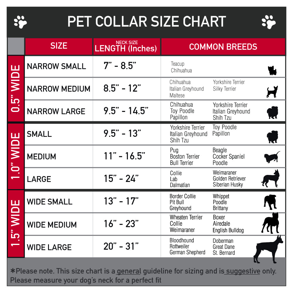 Plastic Clip Collar - Gremlins GIZMO Poses/Rules Blocks Red/Greens/Grays/White