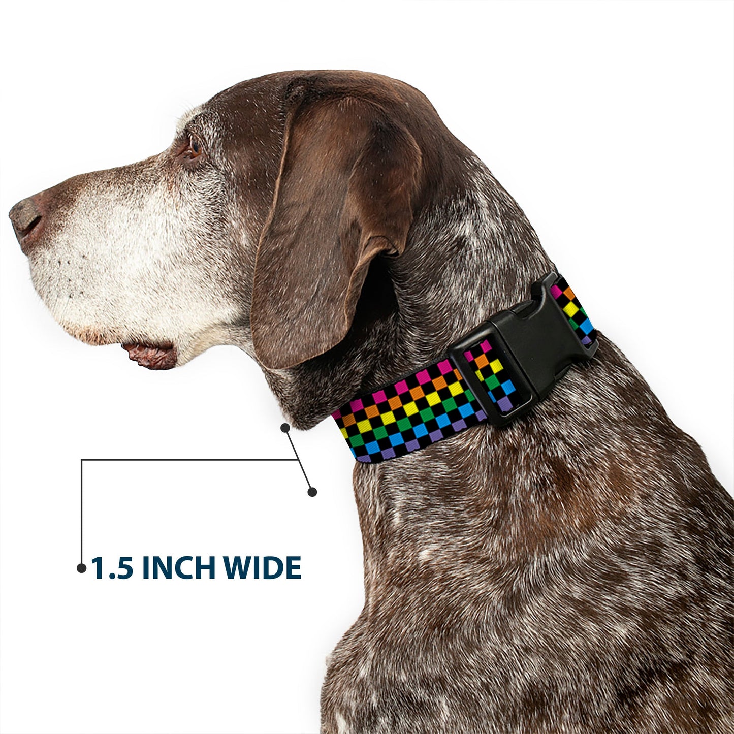 Plastic Clip Collar - Checker Black/Neon Rainbow