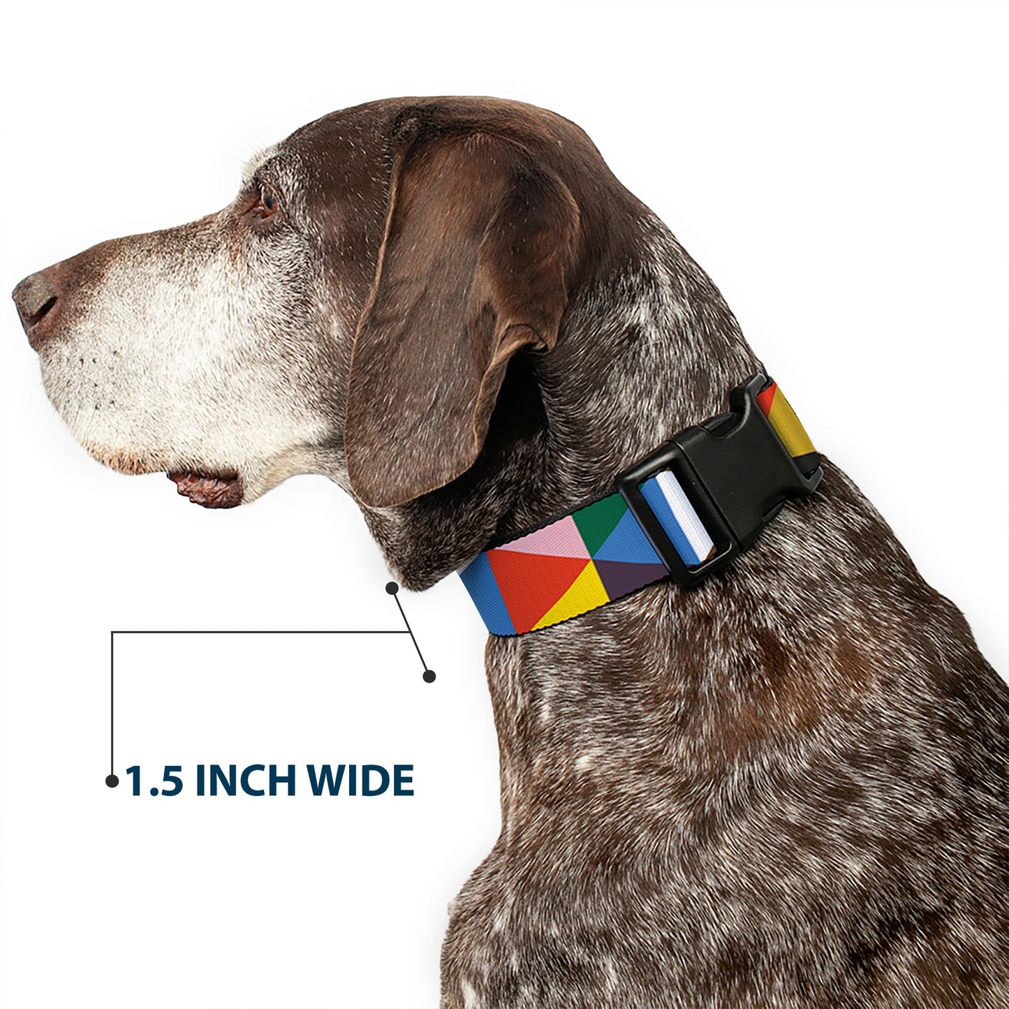 Plastic Clip Collar - Geometric Triangle Blocks Multi Color