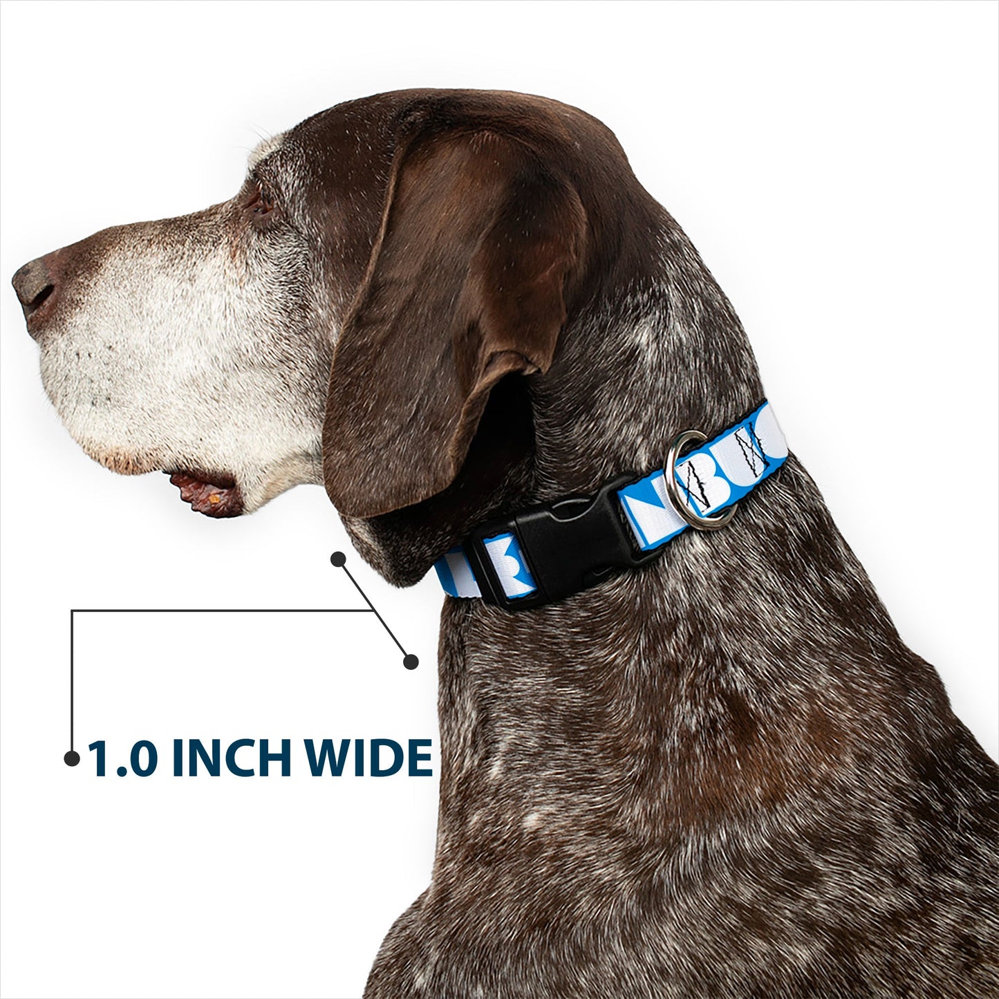 Plastic Clip Collar - BUCKLE-DOWN Shapes Turquoise/White