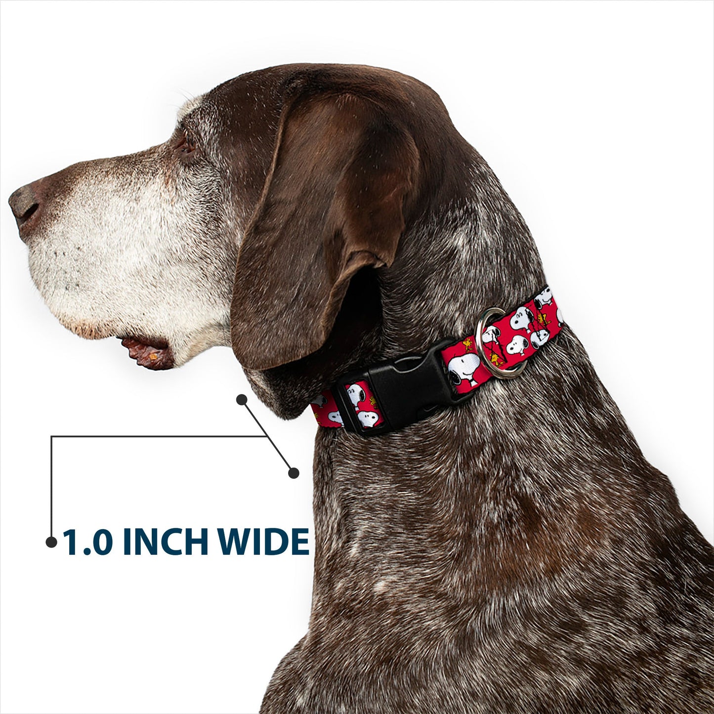 Plastic Clip Collar - Peanuts Snoopy and Woodstock Poses Scattered Red