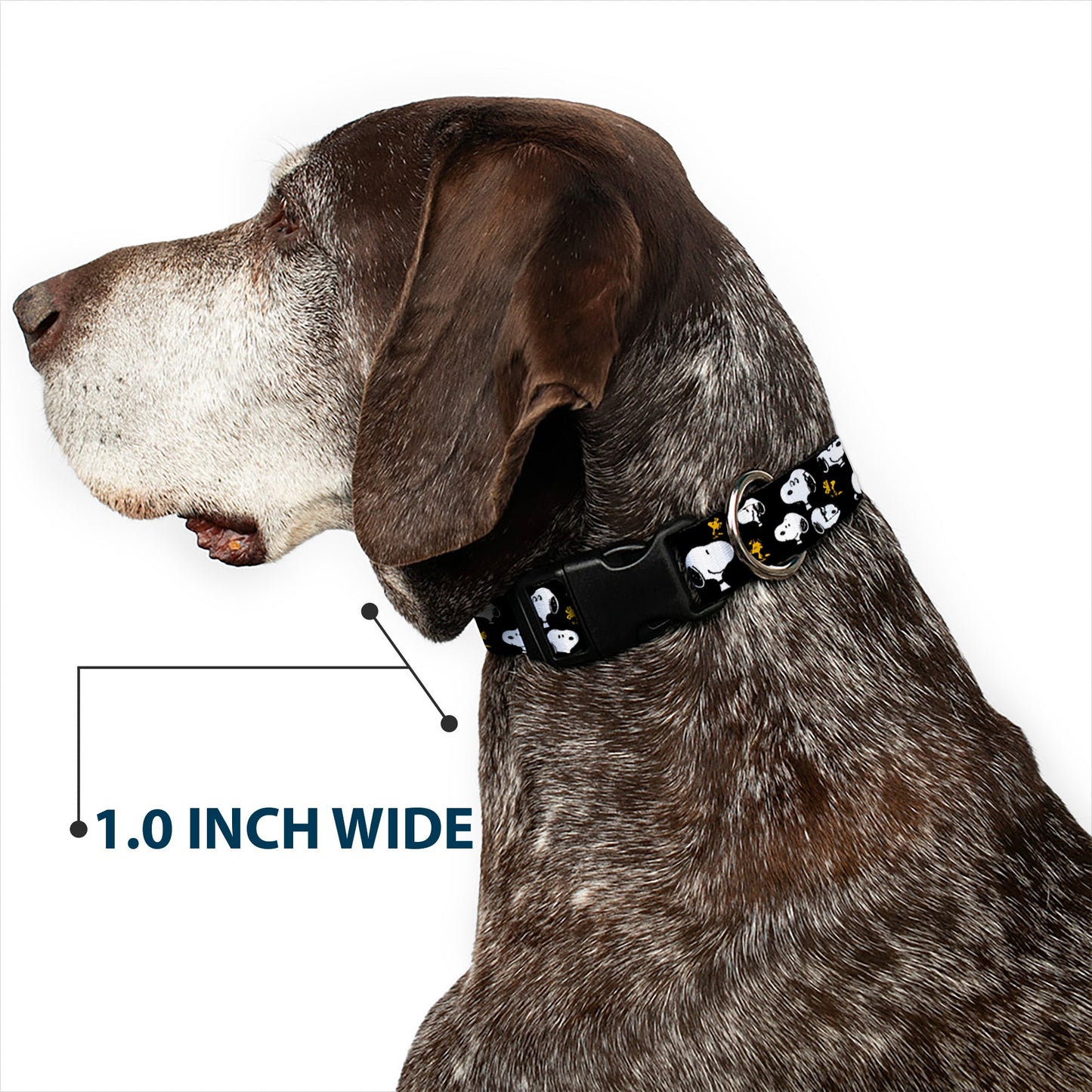 Plastic Clip Collar - Peanuts Snoopy and Woodstock Poses Scattered Black