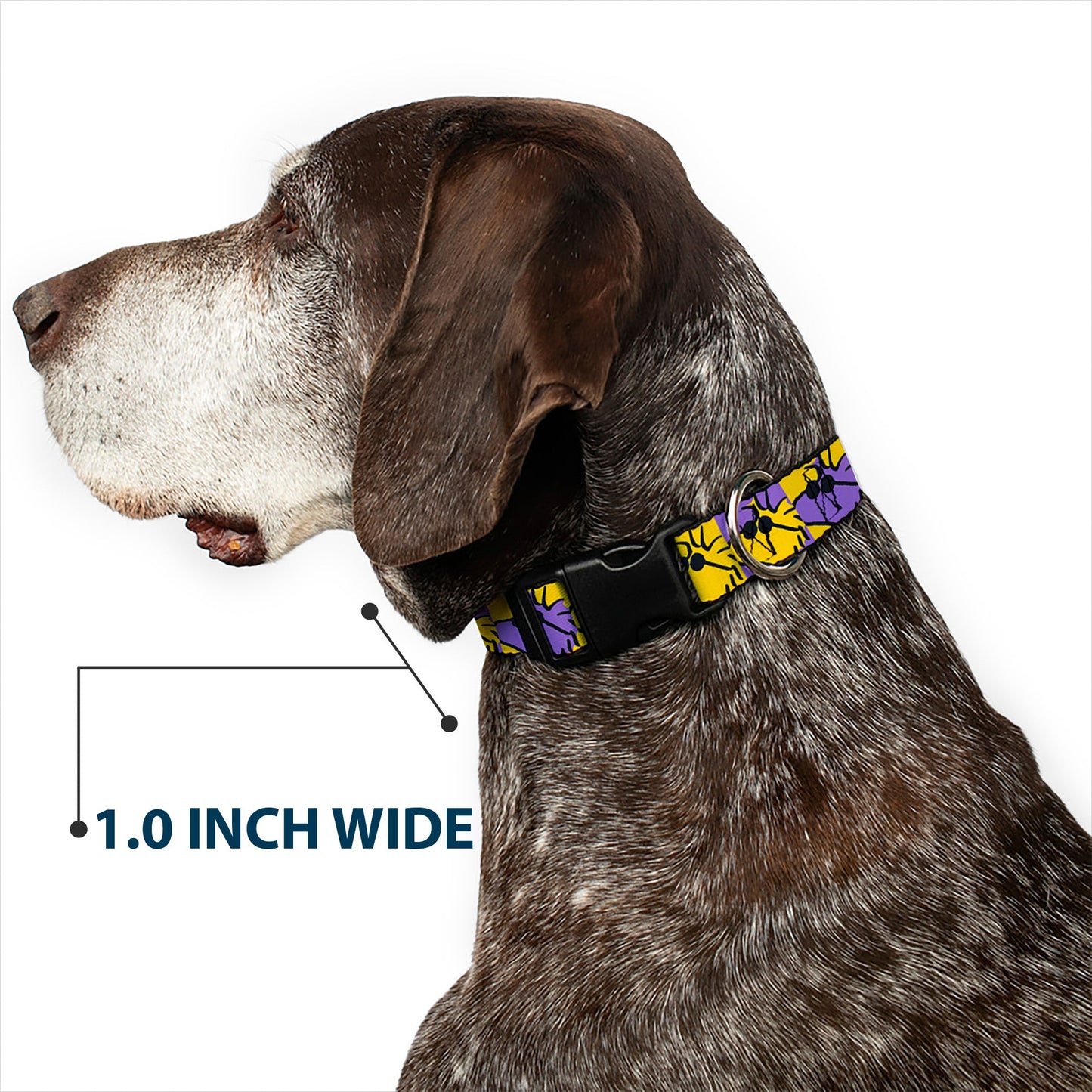 Plastic Clip Collar - Peanuts Woodstock Shades Pose Blocks Blue/Yellow/Black