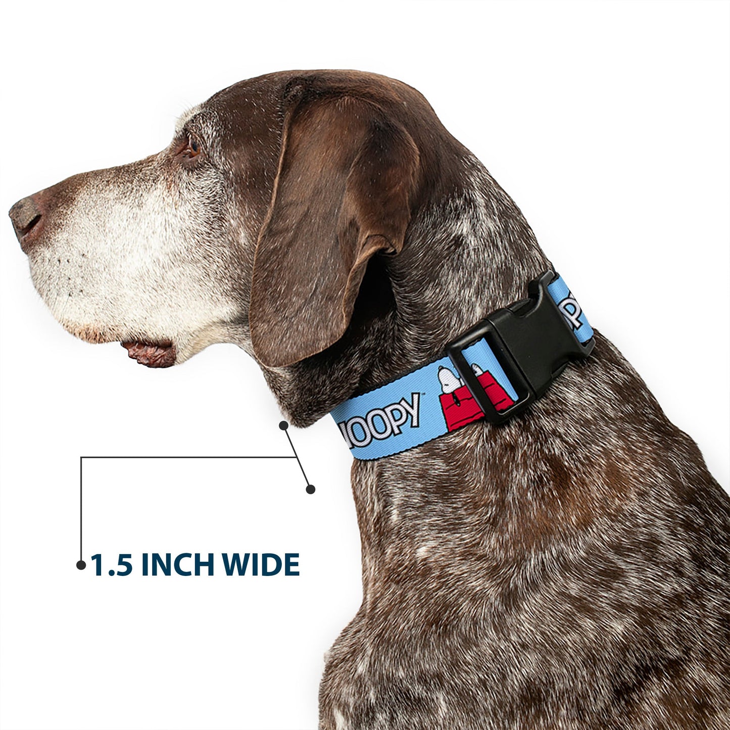 Plastic Clip Collar - Peanuts Snoopy and Woodstock Dog House Pose and Text Sky Blue