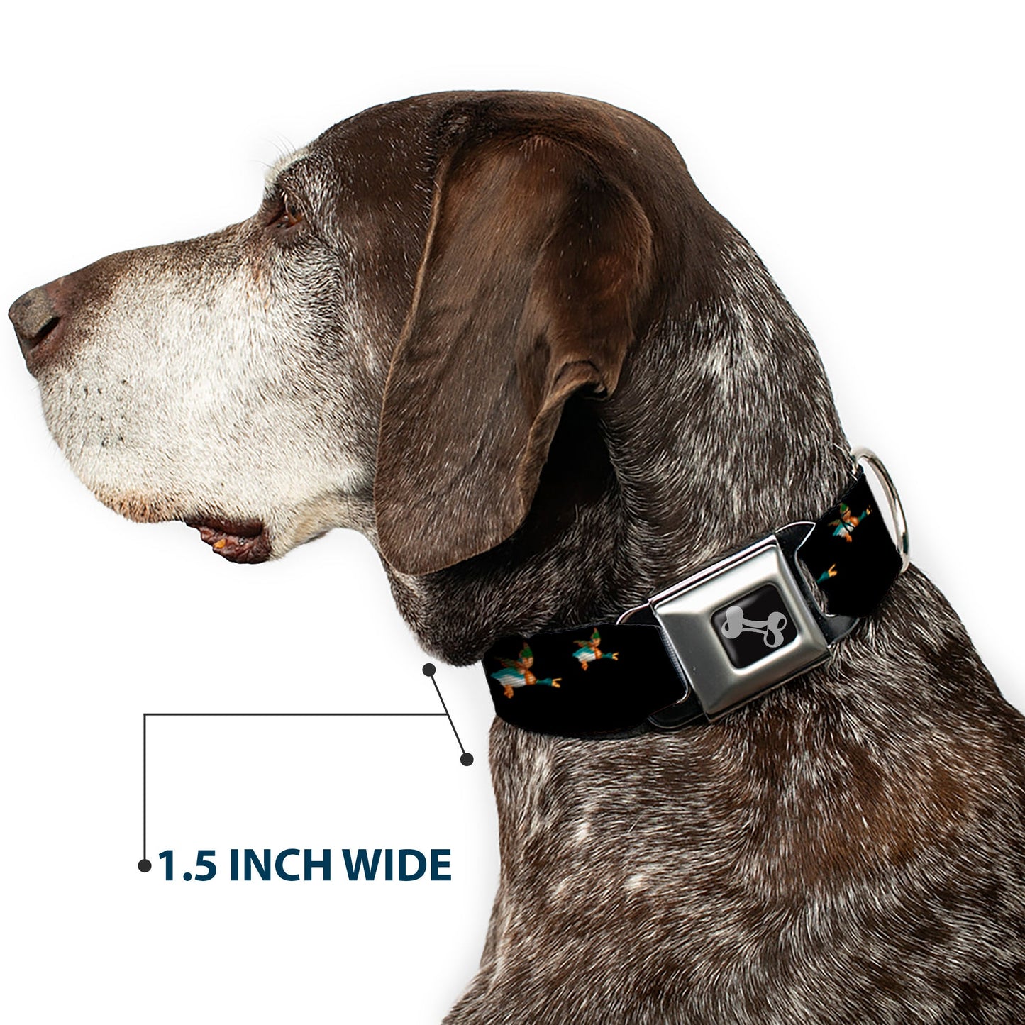 Dog Bone Seatbelt Buckle Collar - Flying Mallards Black