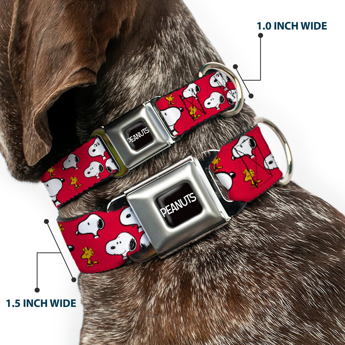 PEANUTS Title Logo Full Color Black/White Seatbelt Buckle Collar - Peanuts Snoopy and Woodstock Poses Scattered Red