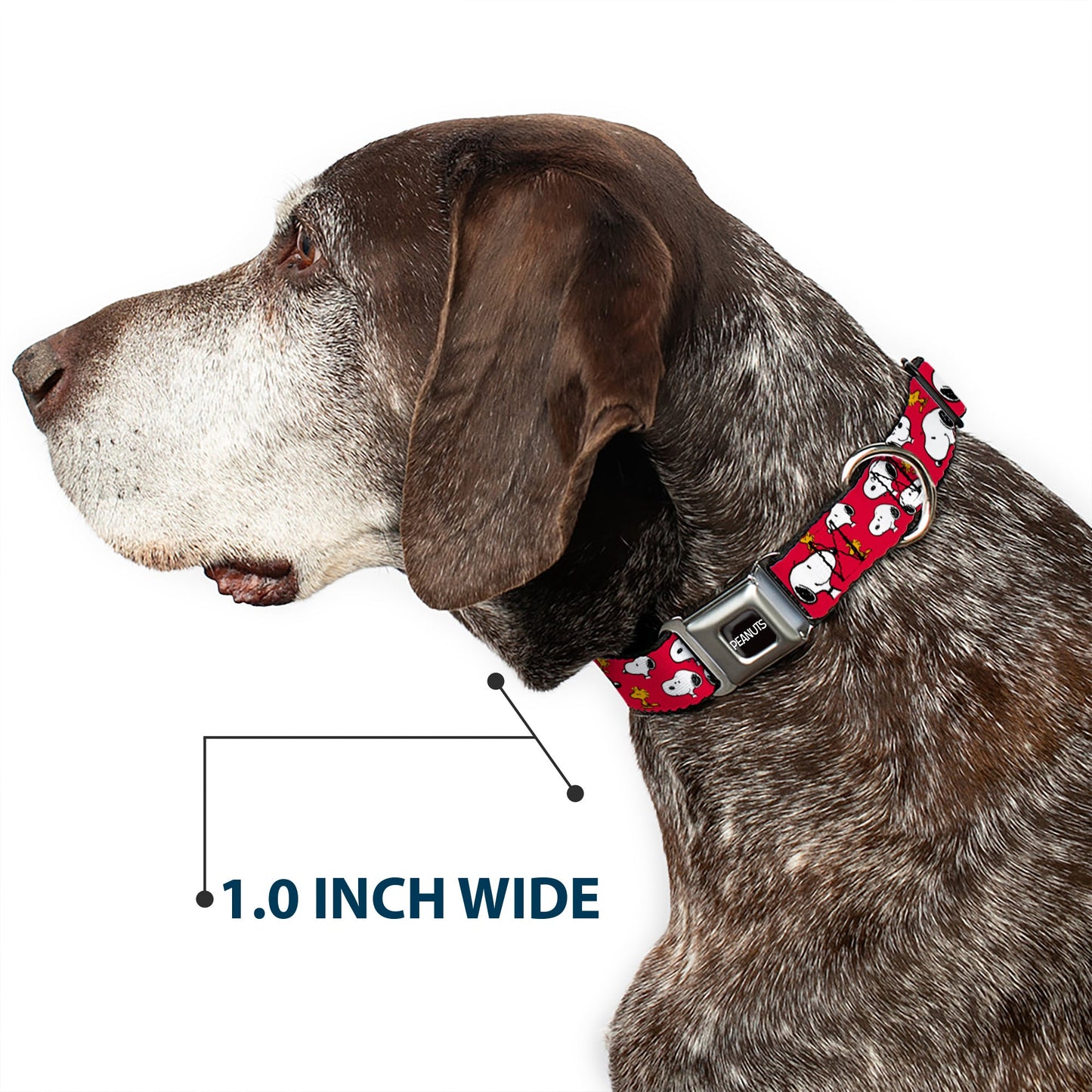 PEANUTS Title Logo Full Color Black/White Seatbelt Buckle Collar - Peanuts Snoopy and Woodstock Poses Scattered Red