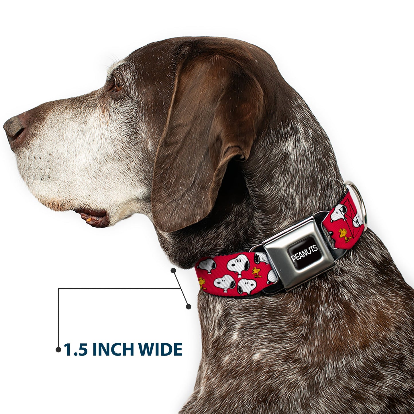 PEANUTS Title Logo Full Color Black/White Seatbelt Buckle Collar - Peanuts Snoopy and Woodstock Poses Scattered Red