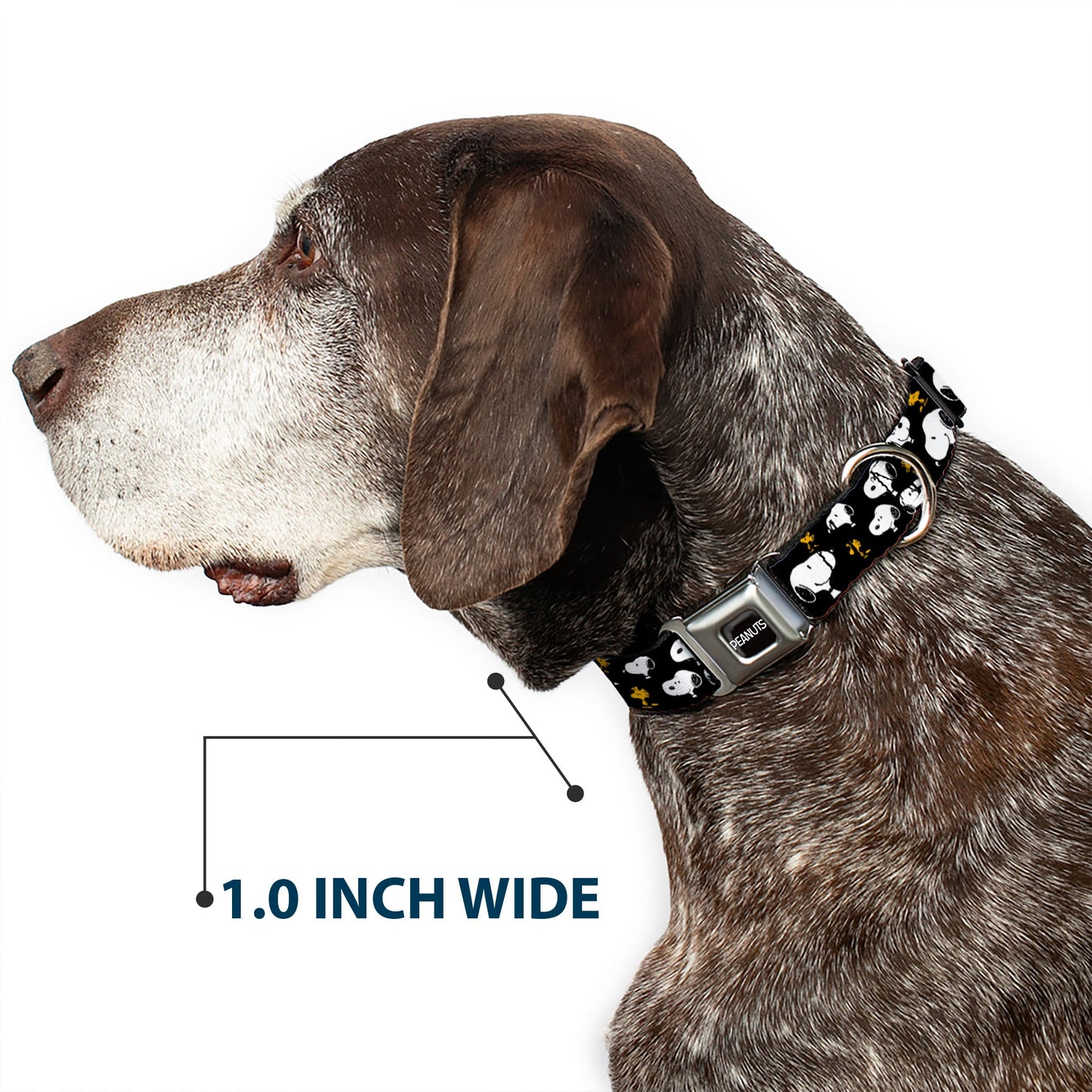 PEANUTS Title Logo Full Color Black/White Seatbelt Buckle Collar - Peanuts Snoopy and Woodstock Poses Scattered Black