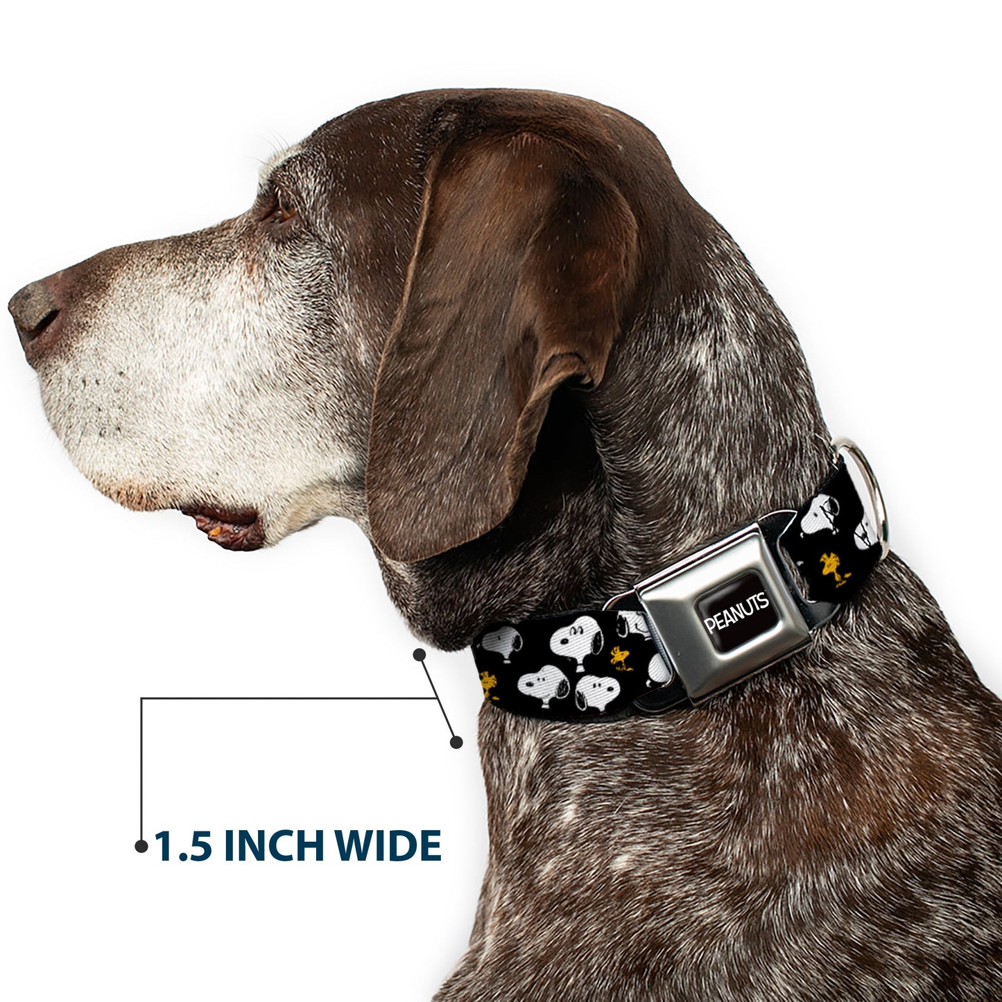 PEANUTS Title Logo Full Color Black/White Seatbelt Buckle Collar - Peanuts Snoopy and Woodstock Poses Scattered Black
