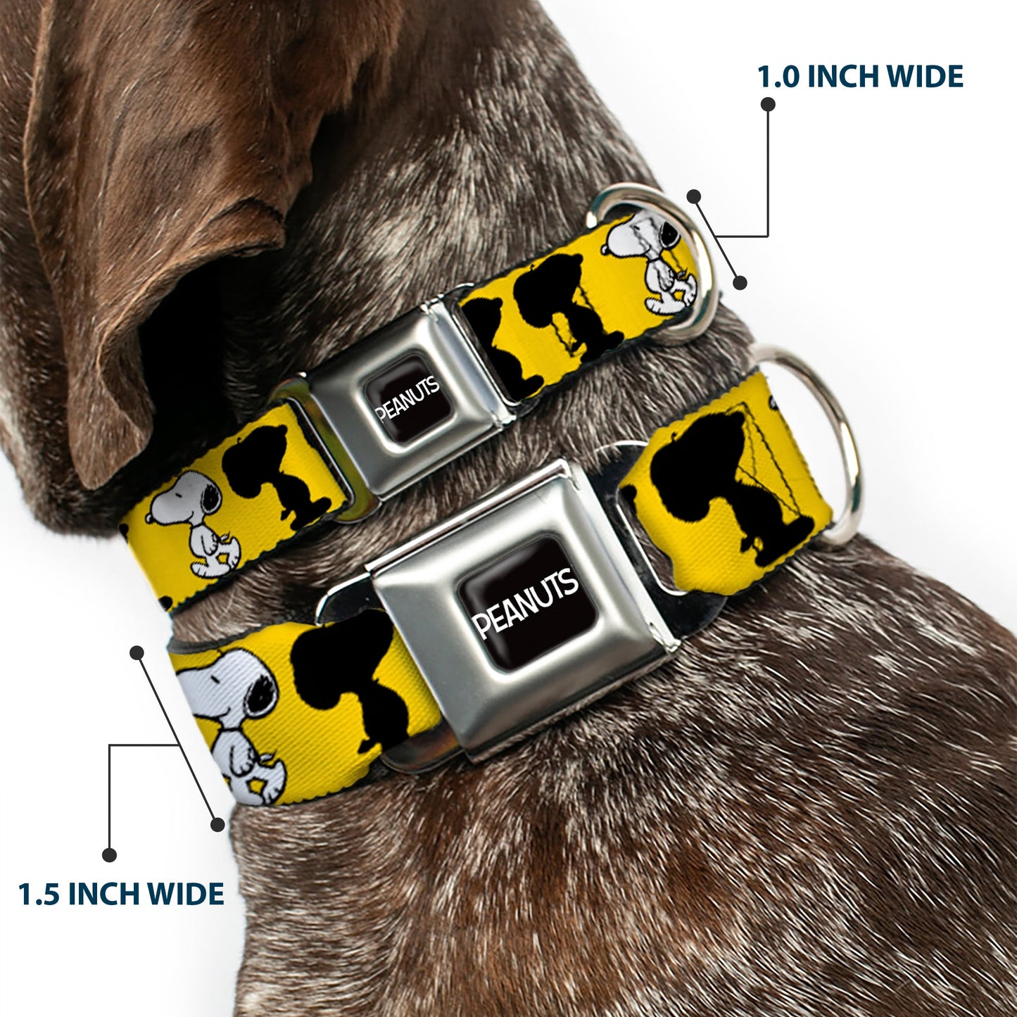 PEANUTS Title Logo Full Color Black/White Seatbelt Buckle Collar - Peanuts Snoopy Walking/Silhouette Pose Yellow/Black/White