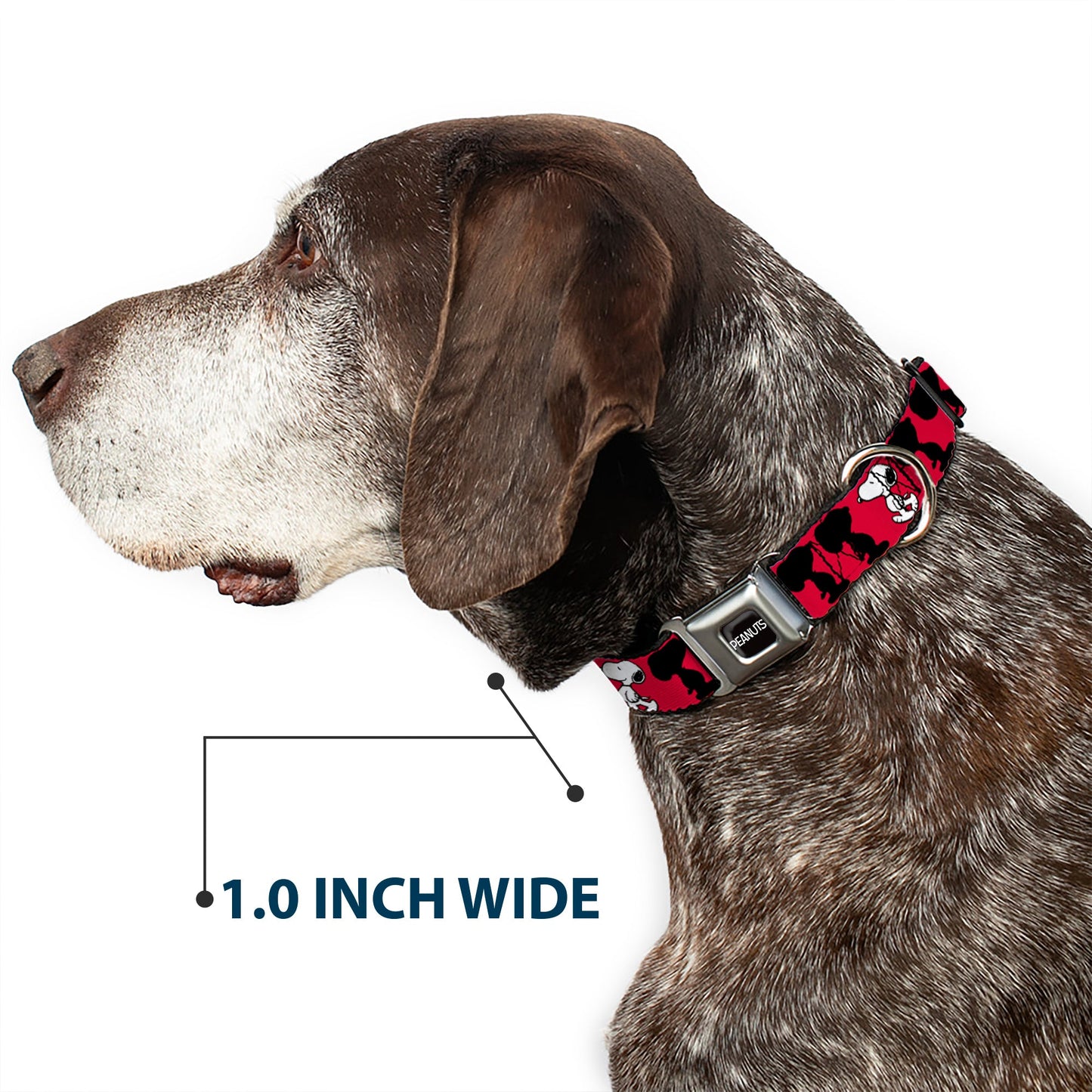 PEANUTS Title Logo Full Color Black/White Seatbelt Buckle Collar - Peanuts Snoopy Walking/Silhouette Pose Red/Black/White