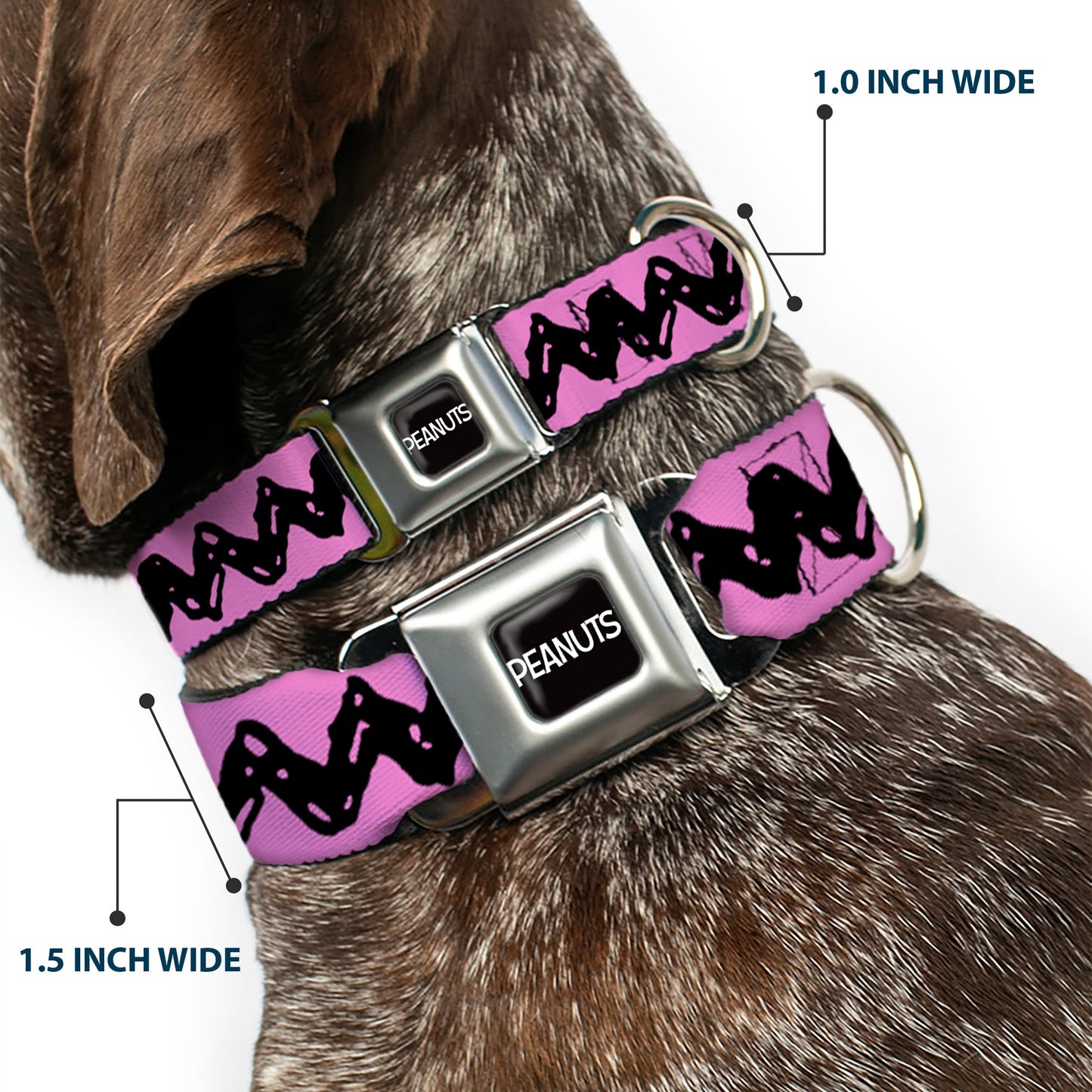 PEANUTS Title Logo Full Color Black/White Seatbelt Buckle Collar - Peanuts Charlie Brown Zig Zag Stripe Pink/Black