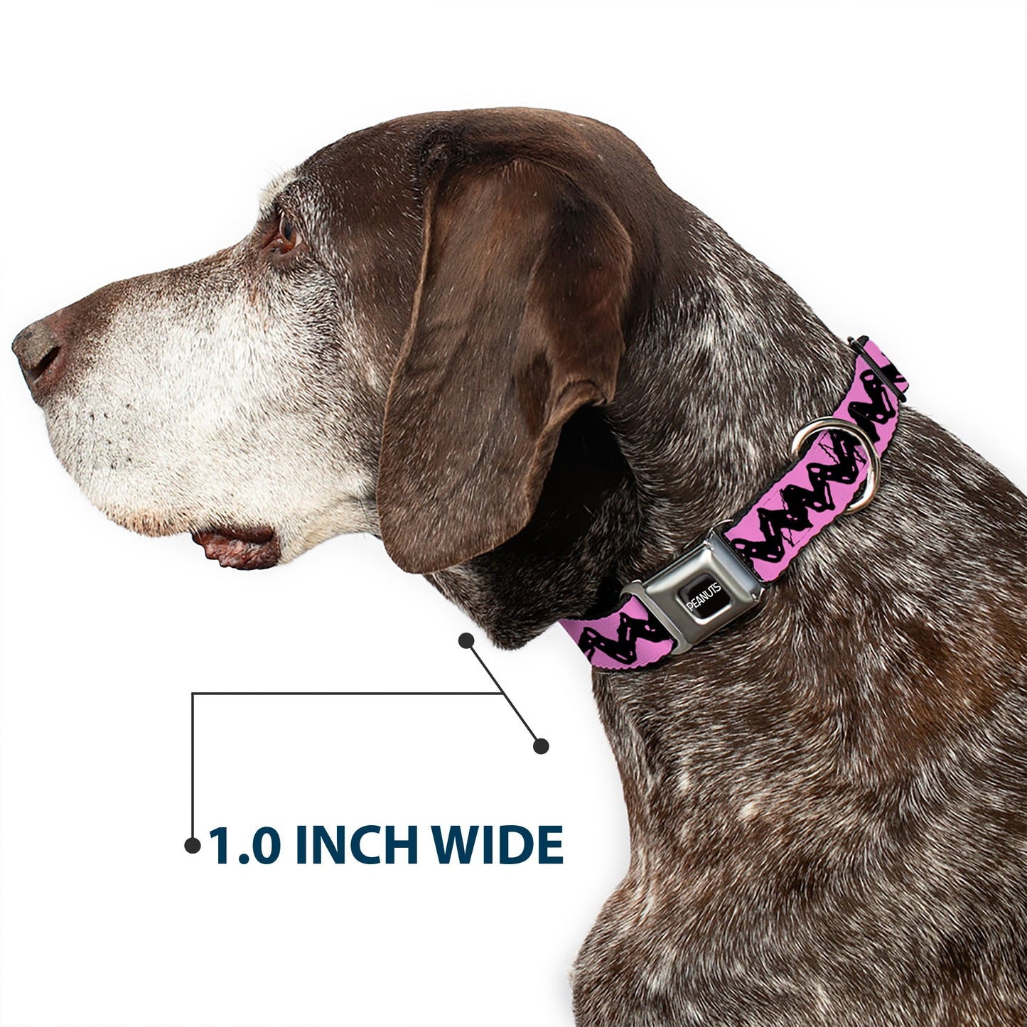 PEANUTS Title Logo Full Color Black/White Seatbelt Buckle Collar - Peanuts Charlie Brown Zig Zag Stripe Pink/Black