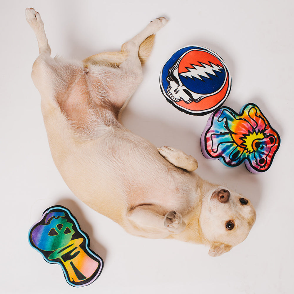 Dog Toy Squeaker Plush - Grateful Dead Steal Your Face Skull + GOOD OL GRATEFUL DEAD