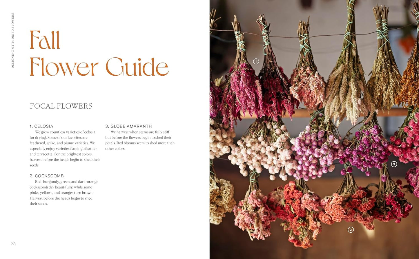 Designing with Dried Flowers: Creating Everlasting Arrangements (Spiral Bound)