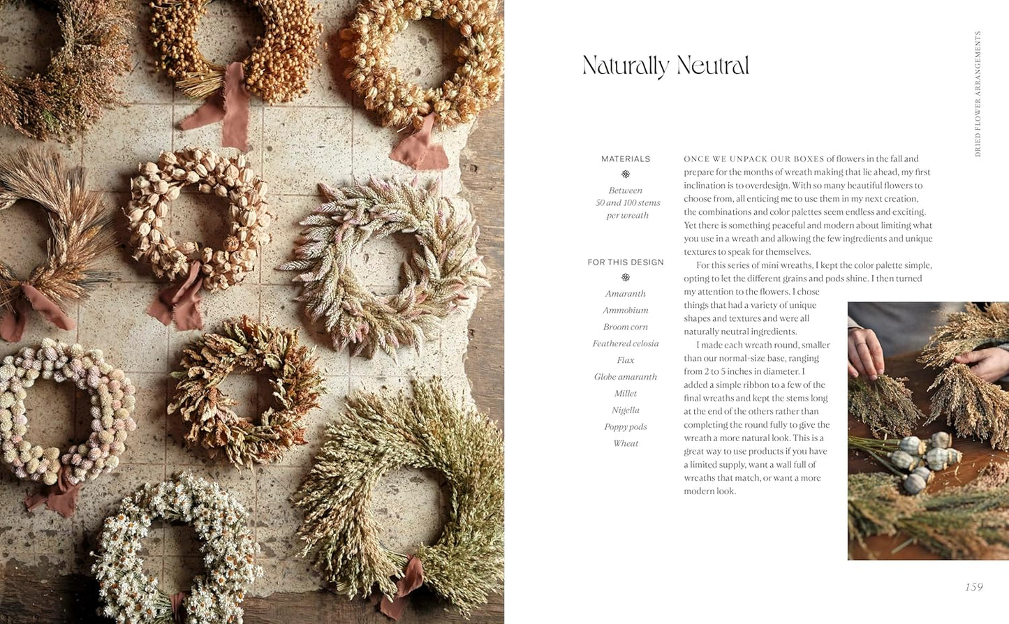 Designing with Dried Flowers: Creating Everlasting Arrangements (Spiral Bound)