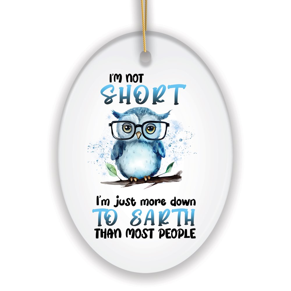 Down to Earth Owl Ceramic Ornament, Cute and Funny Christmas Gift