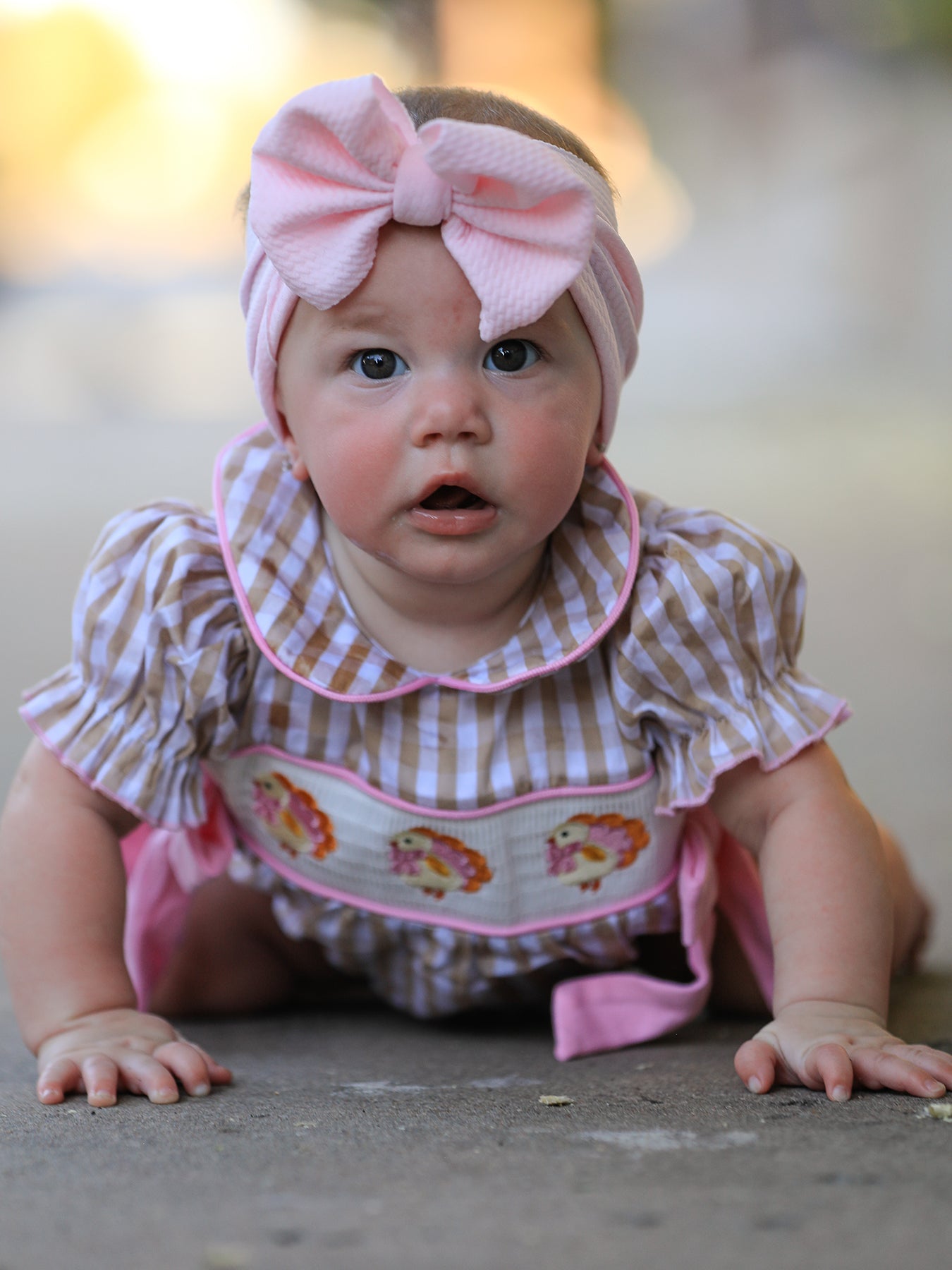 Fall Thanksgiving Lapel Plaid Chick Embroidery Smocking Bow Baby Girls Romper