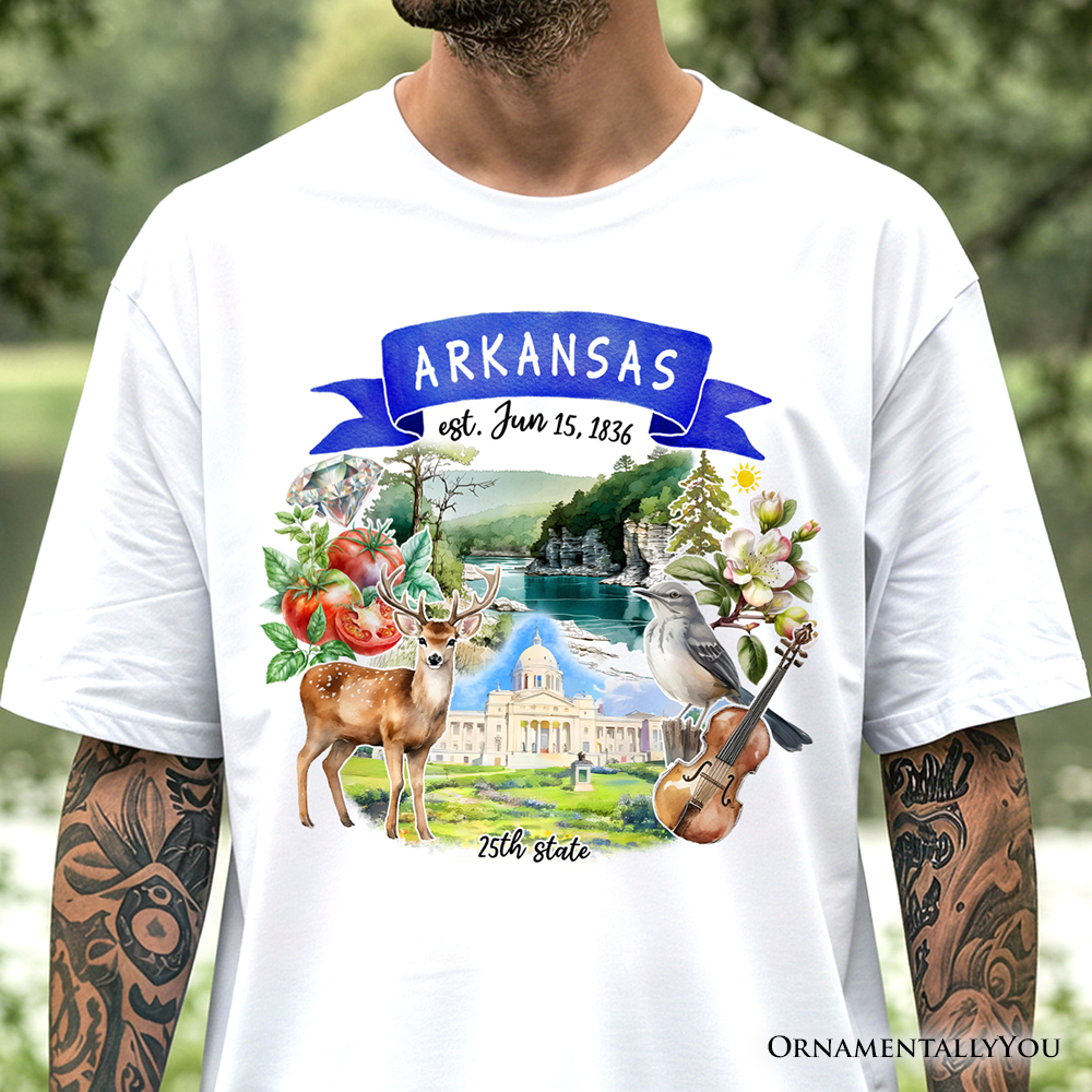 Artistic Arkansas State Themes and Landmarks T-Shirt, Tee for History and Travel Lovers